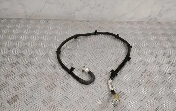 Audi A8 S8 D5 Negative earth cable (battery) 4N0971216A