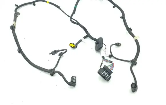 Other wiring loom