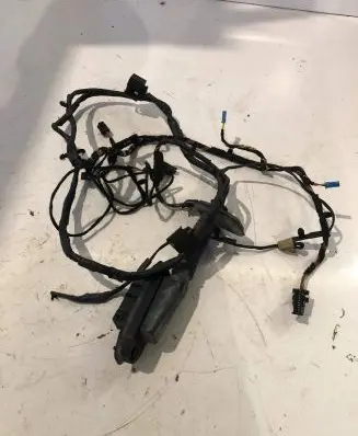 BMW X6 E71 Front door wiring loom 9187998 66405910