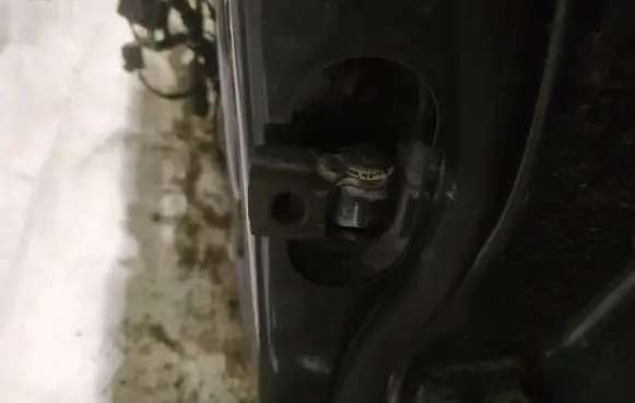 Skoda Superb B6 (3T) Rear door check strap stopper 