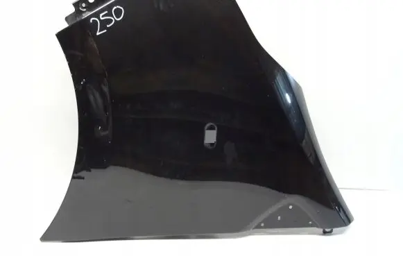 Renault Trafic III (X82) Fender 631014989R