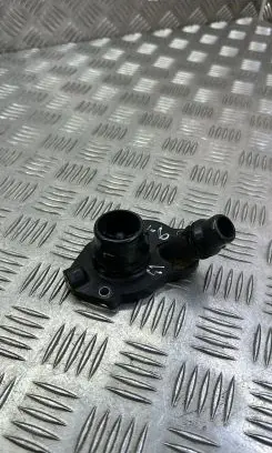 Thermostat/thermostat housing