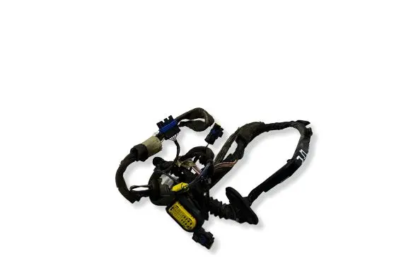 Renault Espace - Grand espace IV Rear door wiring loom 8200782572 TG414