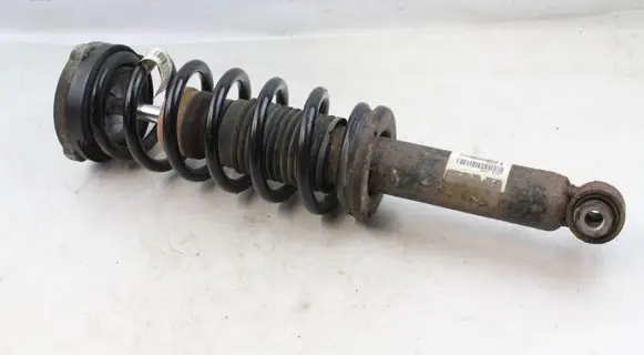 BMW X3 F25 Rear shock absorber with coil spring 6796317 33526796317 6787203