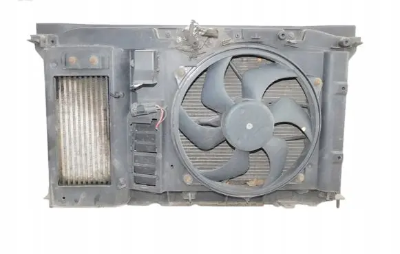 Peugeot 307 Radiator set 