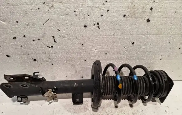 Peugeot 2008 II Front shock absorber with coil spring 9842691880