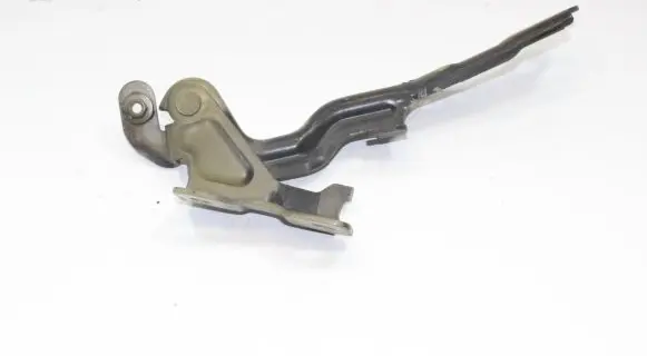 Chevrolet Orlando Engine bonnet/hood hinges 95470964