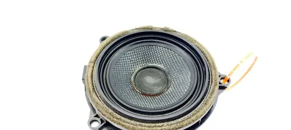 BMW X3 F25 Front door speaker 65139209185 9209185