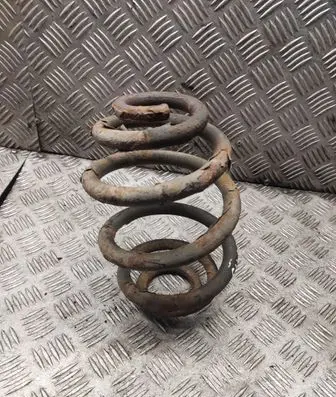 Rear coil spring