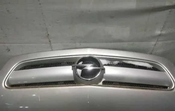 Opel Signum Front grill 
