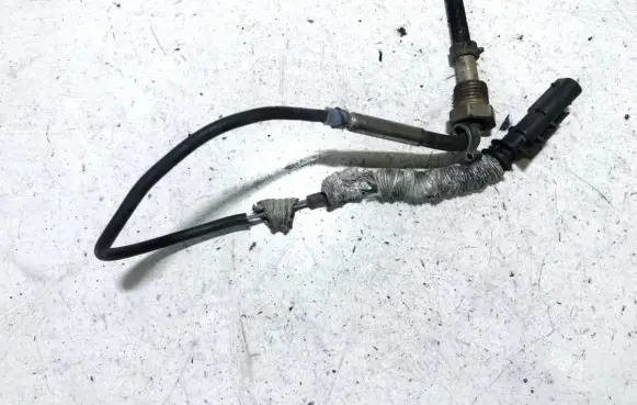 Volvo V60 Exhaust gas temperature sensor 31319841