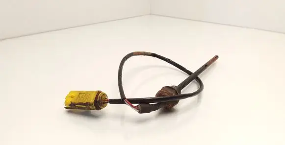 Peugeot 307 Oil level sensor 