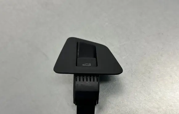 Volkswagen Touareg III Tailgate opening switch 3G0959831