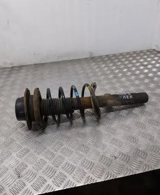 Peugeot 206 Front shock absorber with coil spring