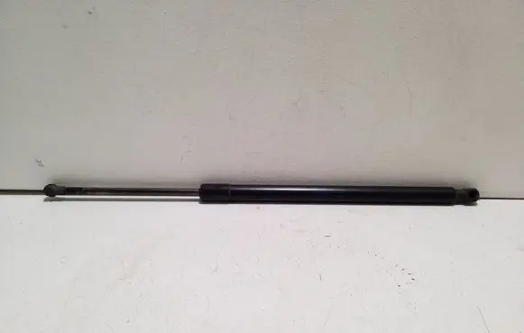 Tailgate/trunk strut/damper