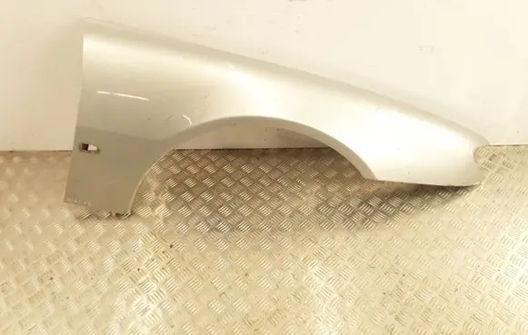 Peugeot 406 Fender