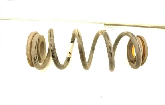 Rear coil spring