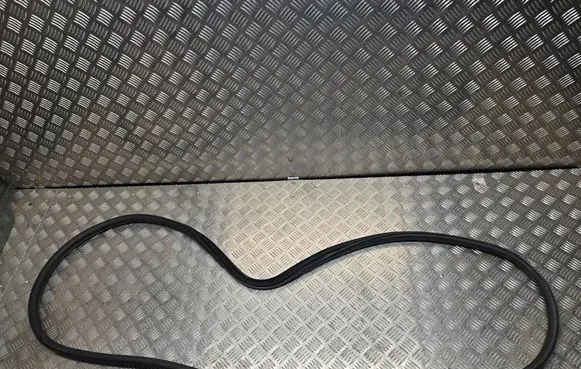 BMW X3 F25 Front door rubber seal 7396553