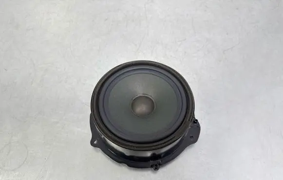 Jaguar F-Pace Rear door speaker GX7318808CE
