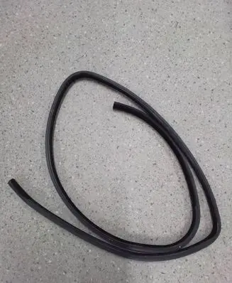 Dodge Charger Rubber seal rear door 