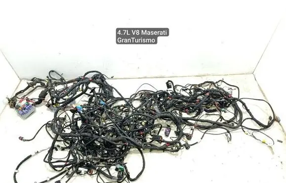 Other wiring loom