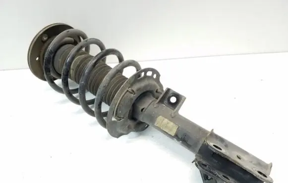 Ford Fusion II Front shock absorber with coil spring DG9C18K001