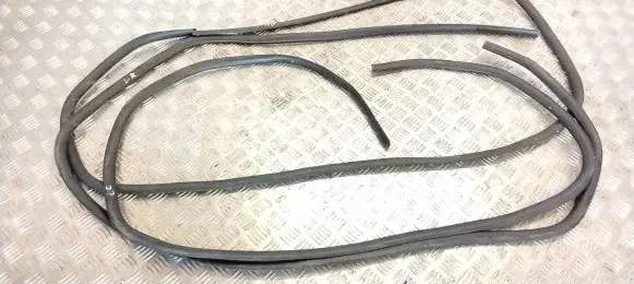 Renault Trafic III (X82) Rubber seal rear door window/glass 