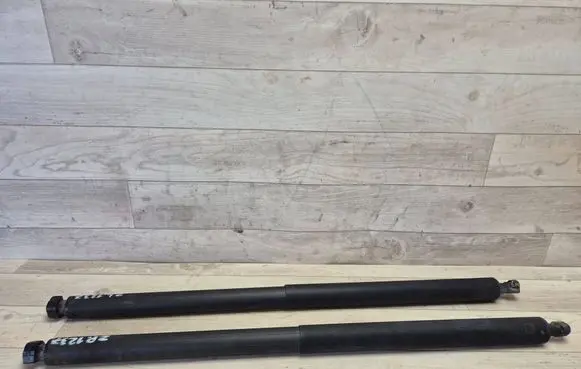 Opel Insignia A Tailgate/trunk strut/damper 315005777