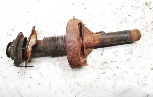 Citroen Berlingo Front shock absorber/damper