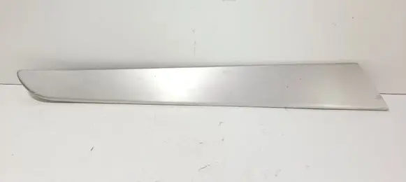 Other rear door trim element
