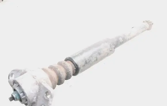 Skoda Fabia Mk3 (NJ) Rear shock absorber/damper 6c0513025ak