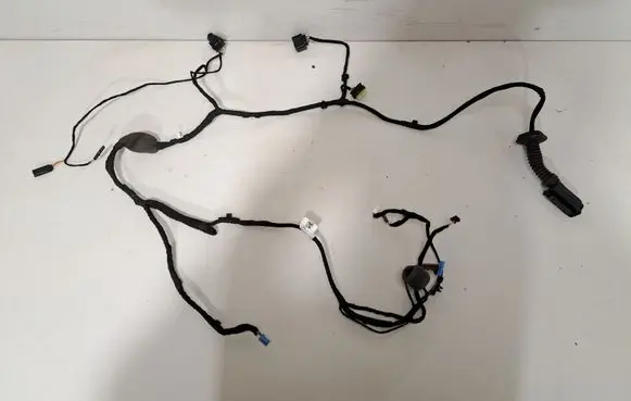 Other wiring loom