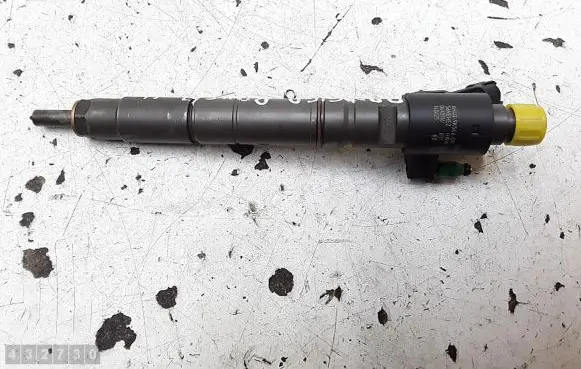 Land Rover Range Rover Evoque L538 Fuel injector