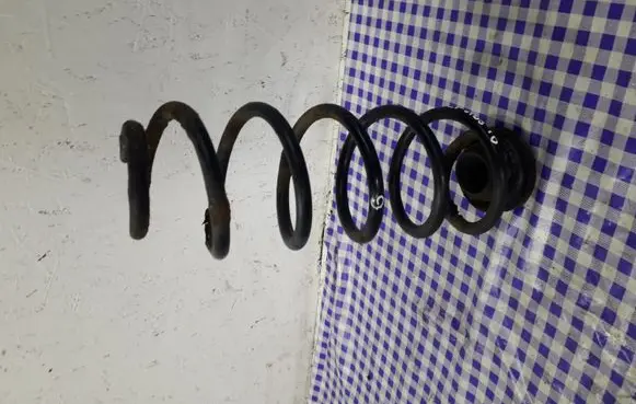 Volkswagen New Beetle Rear coil spring