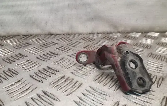 Nissan Juke I F15 Front door lower hinge 