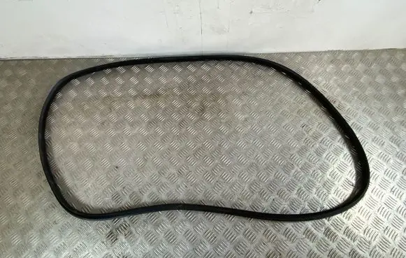Renault Arkana Rear door rubber seal (on body) 