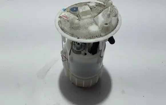 Renault Kangoo II In-tank fuel pump 172024329R