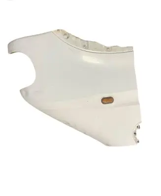 Nissan Interstar Fender