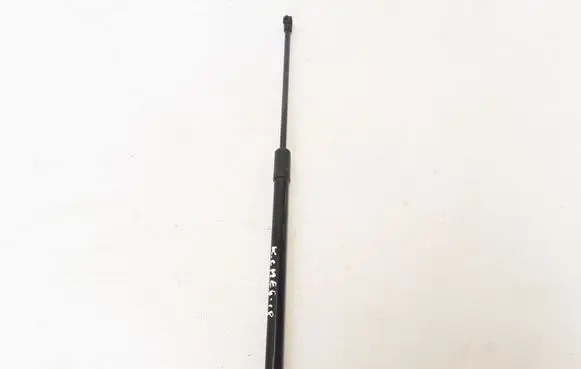 Renault Megane IV Tailgate strut 904506697R