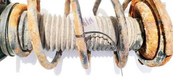 Ford Focus C-MAX Front coil spring 
