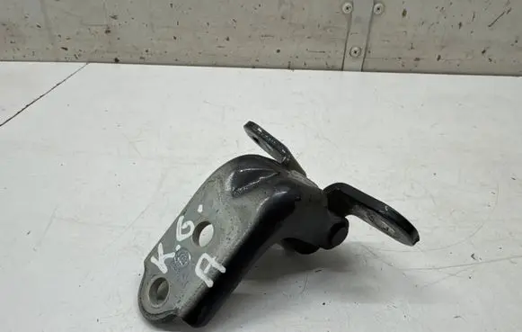 KIA Niro Rear door lower hinge