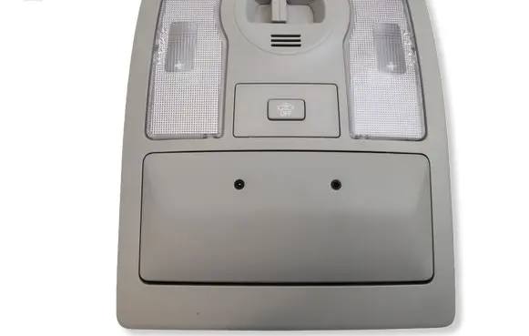 Toyota Prius+ (ZVW40) Front seat light 1D111142G 1D111143G