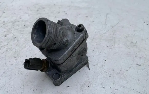 Thermostat/thermostat housing