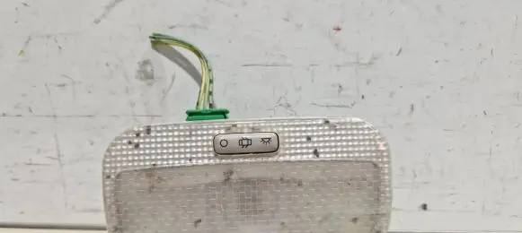 Peugeot 207 Front seat light 9652262180