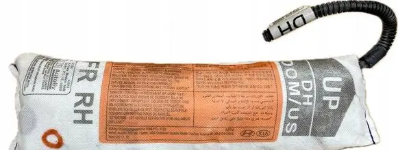 Hyundai Genesis Seat airbag 88920B1500
