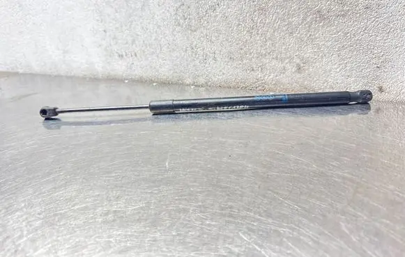 Opel Insignia A Tailgate/trunk strut/damper 13321298 0226020 0650A