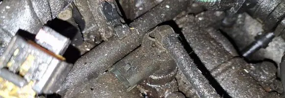 Opel Signum Fuel injector 0445110159