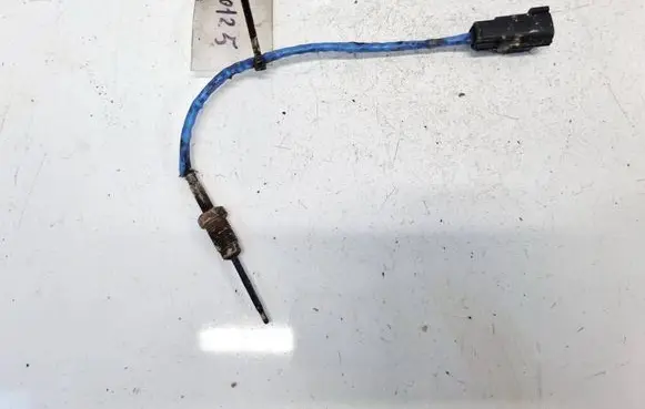 Exhaust gas temperature sensor