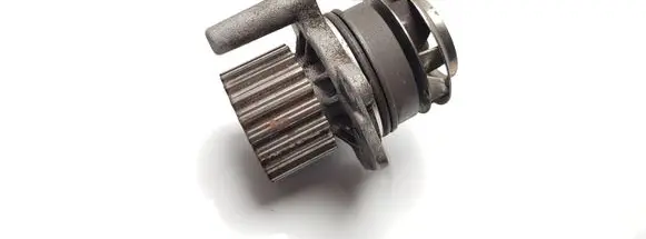 Volkswagen PASSAT B6 Water pump