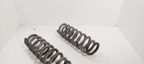Rear coil spring